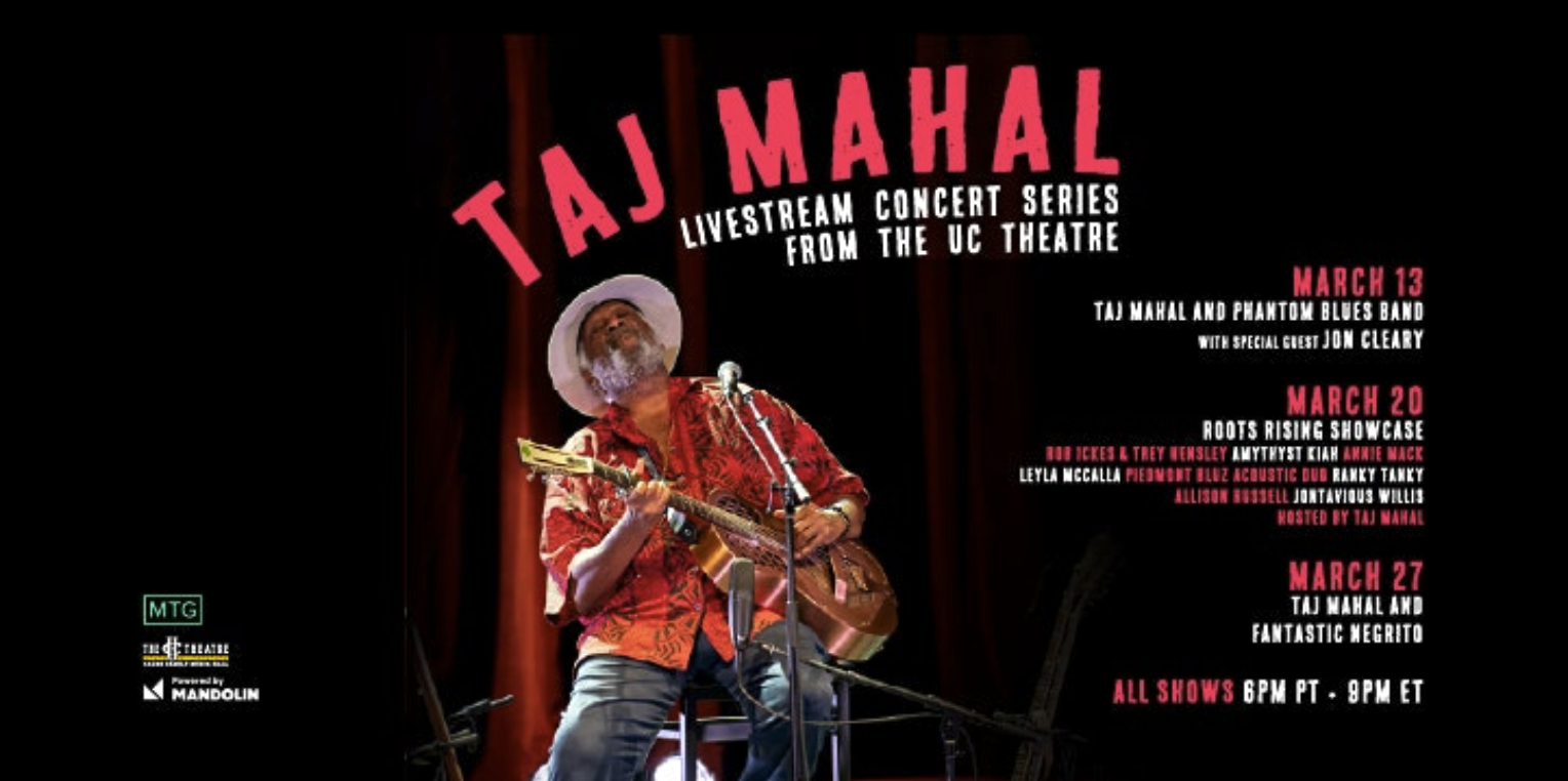 Taj Mahal Livestream Series Holiday Party